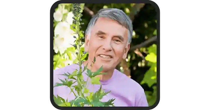 Longevity Salt Reviews